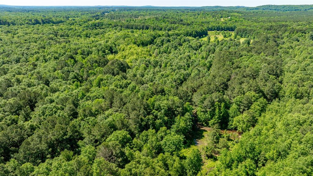 ABS A22 BUTLER, AHIRA,TRACT 55, 162.82 ACRES - Land