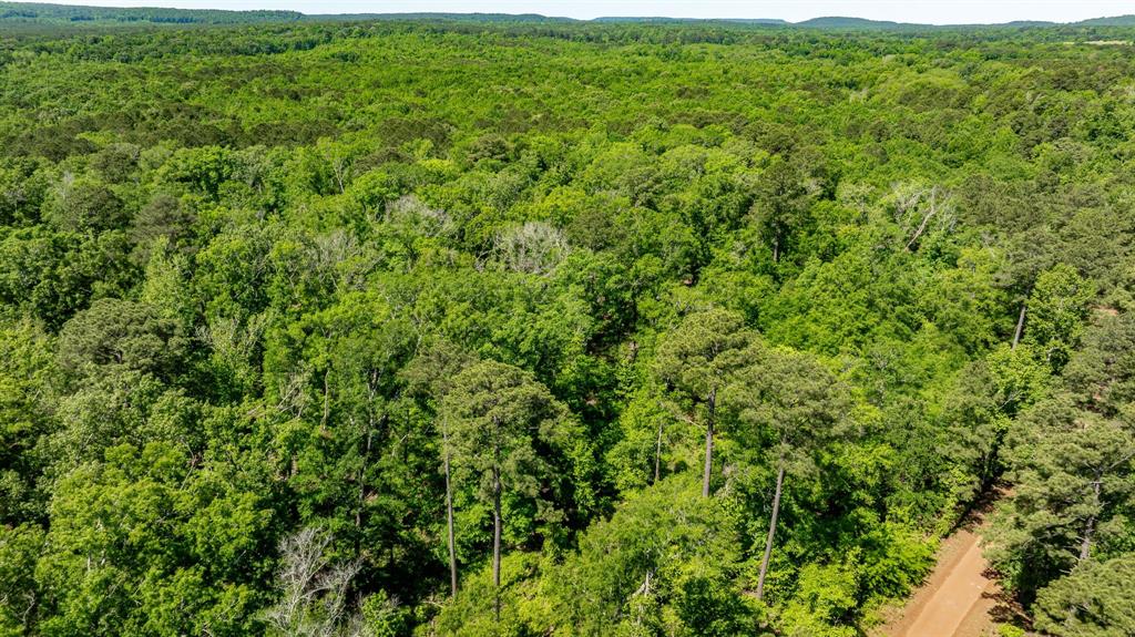 ABS A22 BUTLER, AHIRA,TRACT 55, 162.82 ACRES - Land