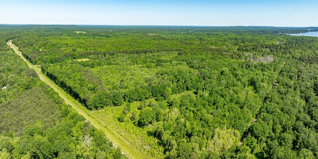 ABS A22 BUTLER, AHIRA,TRACT 55, 162.82 ACRES - Land