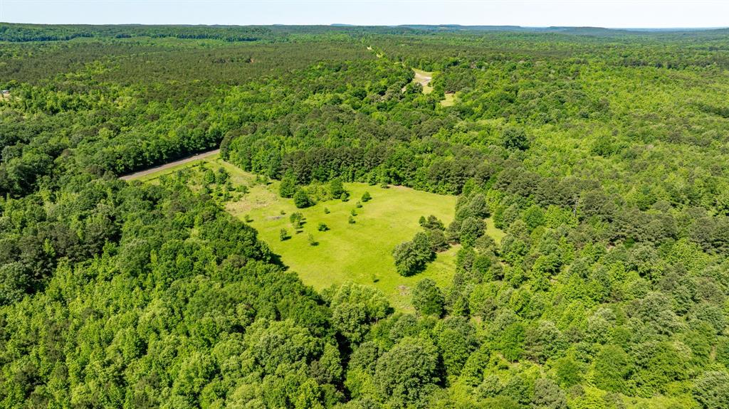 ABS A22 BUTLER, AHIRA,TRACT 55, 162.82 ACRES - Land