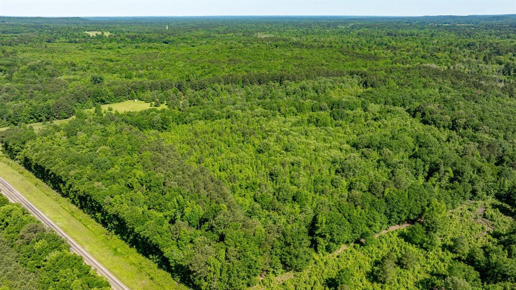 ABS A22 BUTLER, AHIRA,TRACT 55, 162.82 ACRES - Land