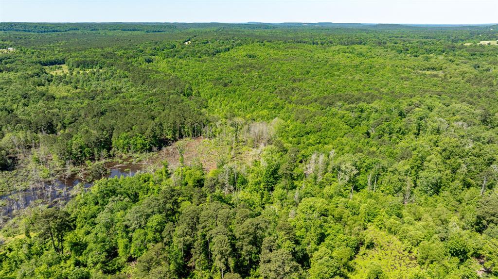ABS A22 BUTLER, AHIRA,TRACT 55, 162.82 ACRES - Land