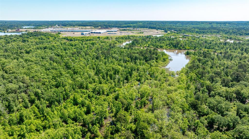 ABS A22 BUTLER, AHIRA,TRACT 55, 162.82 ACRES - Land