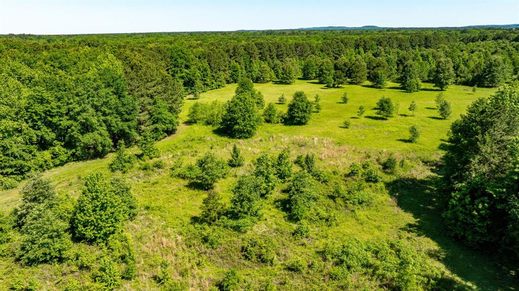 ABS A22 BUTLER, AHIRA,TRACT 55, 162.82 ACRES - Land