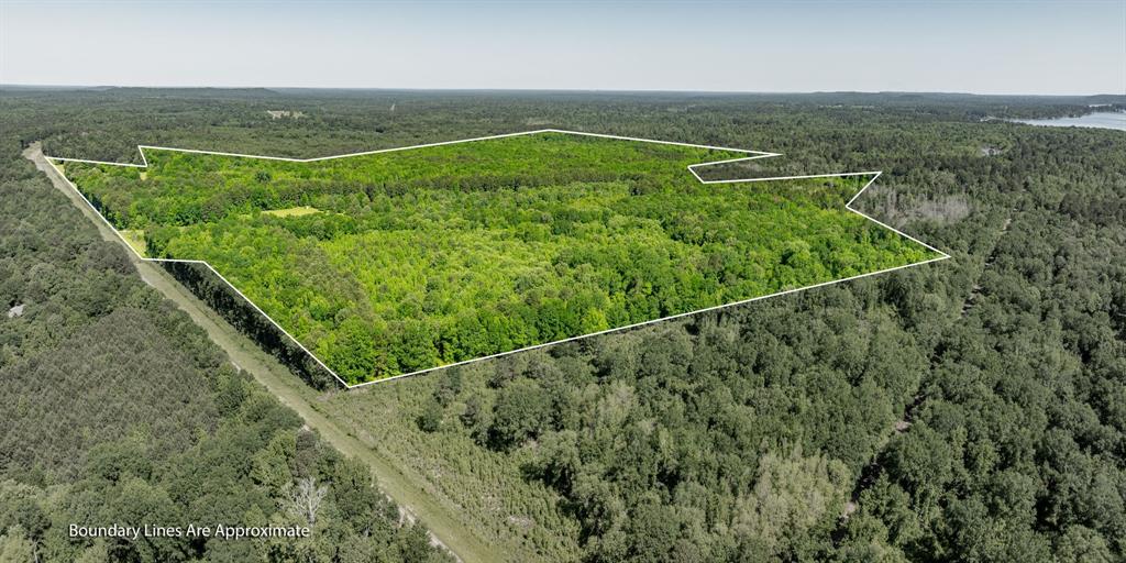 ABS A22 BUTLER, AHIRA,TRACT 55, 162.82 ACRES - Land