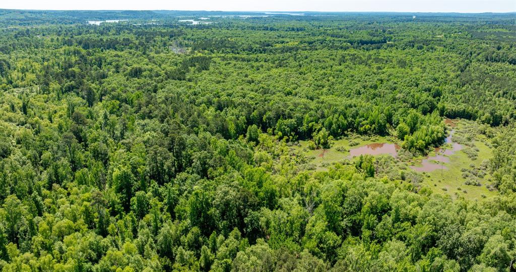 ABS A22 BUTLER, AHIRA,TRACT 55, 162.82 ACRES - Land