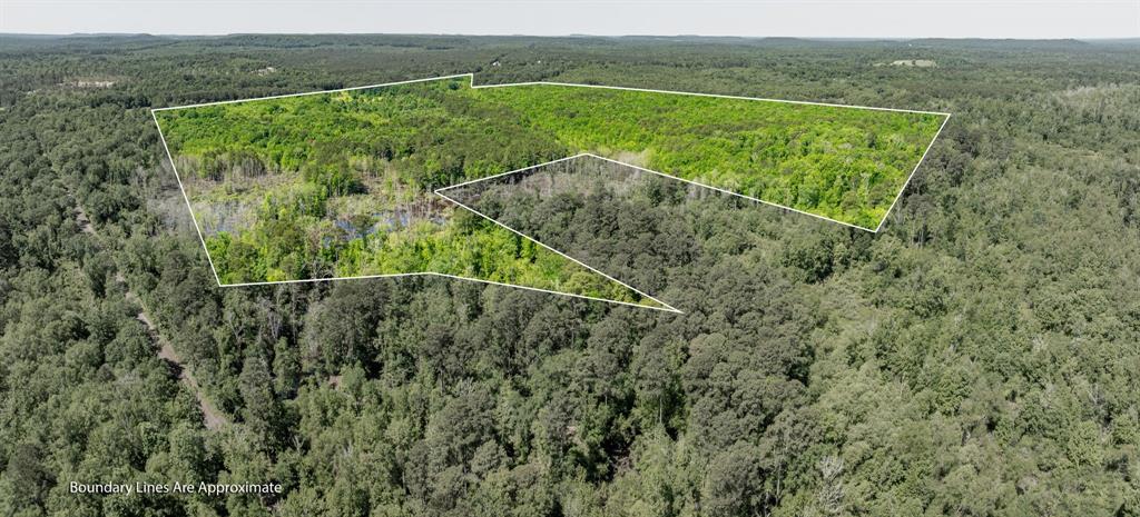 ABS A22 BUTLER, AHIRA,TRACT 55, 162.82 ACRES - Land