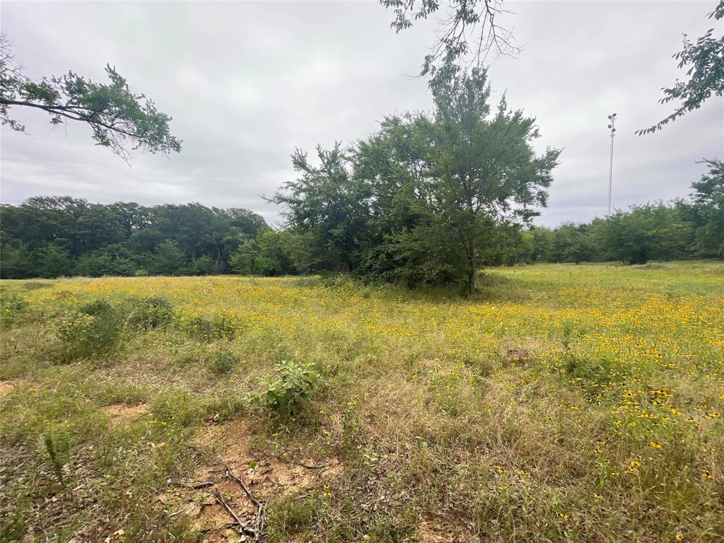 Country Club Estates - Land