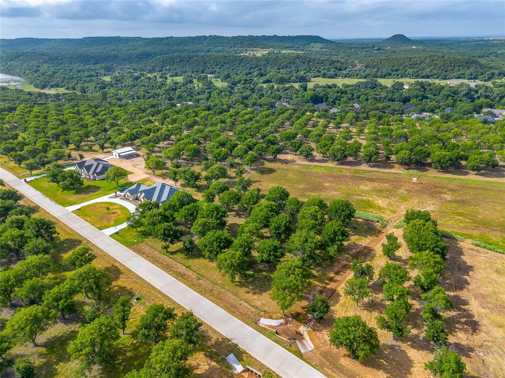 Pecan Plantation - Land