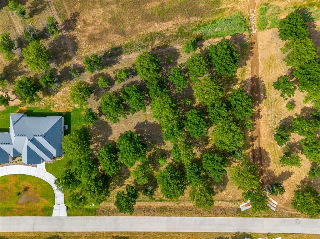 Pecan Plantation - Land