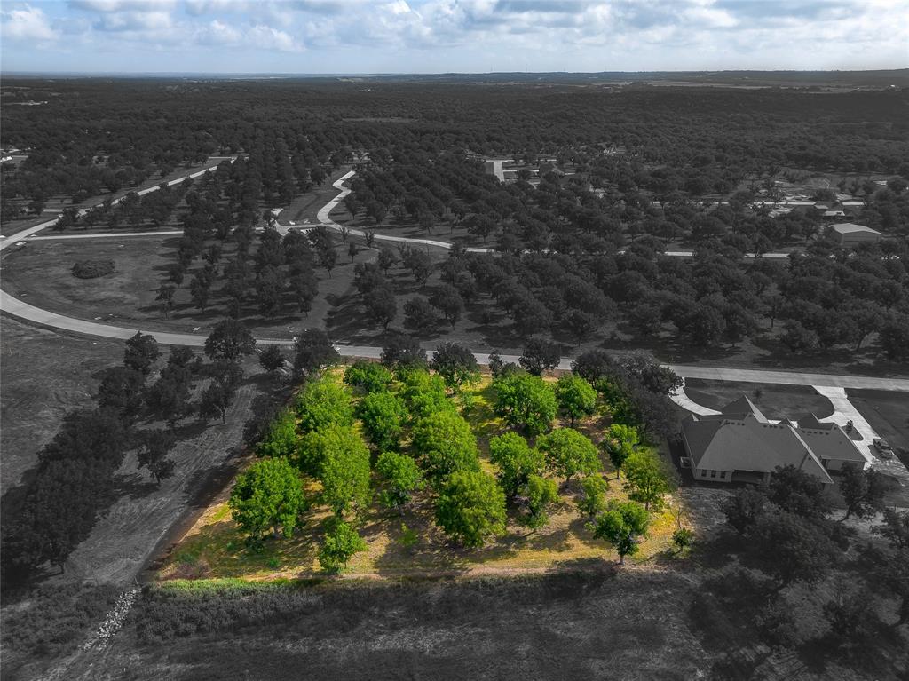 Pecan Plantation - Land