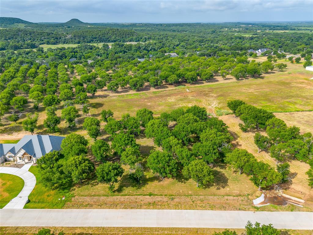 Pecan Plantation - Land