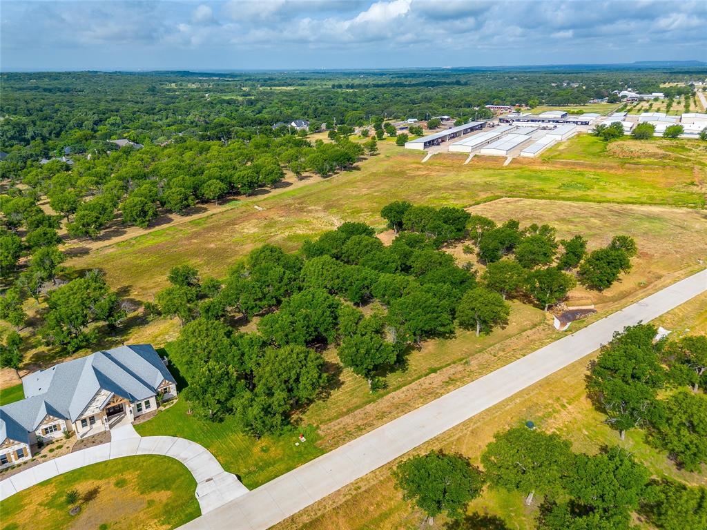 Pecan Plantation - Land