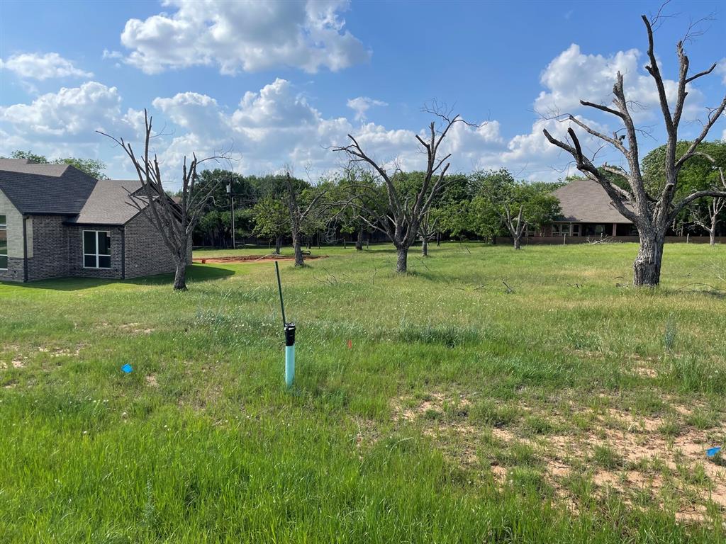 Pecan Plantation's Orchard 15B - Land