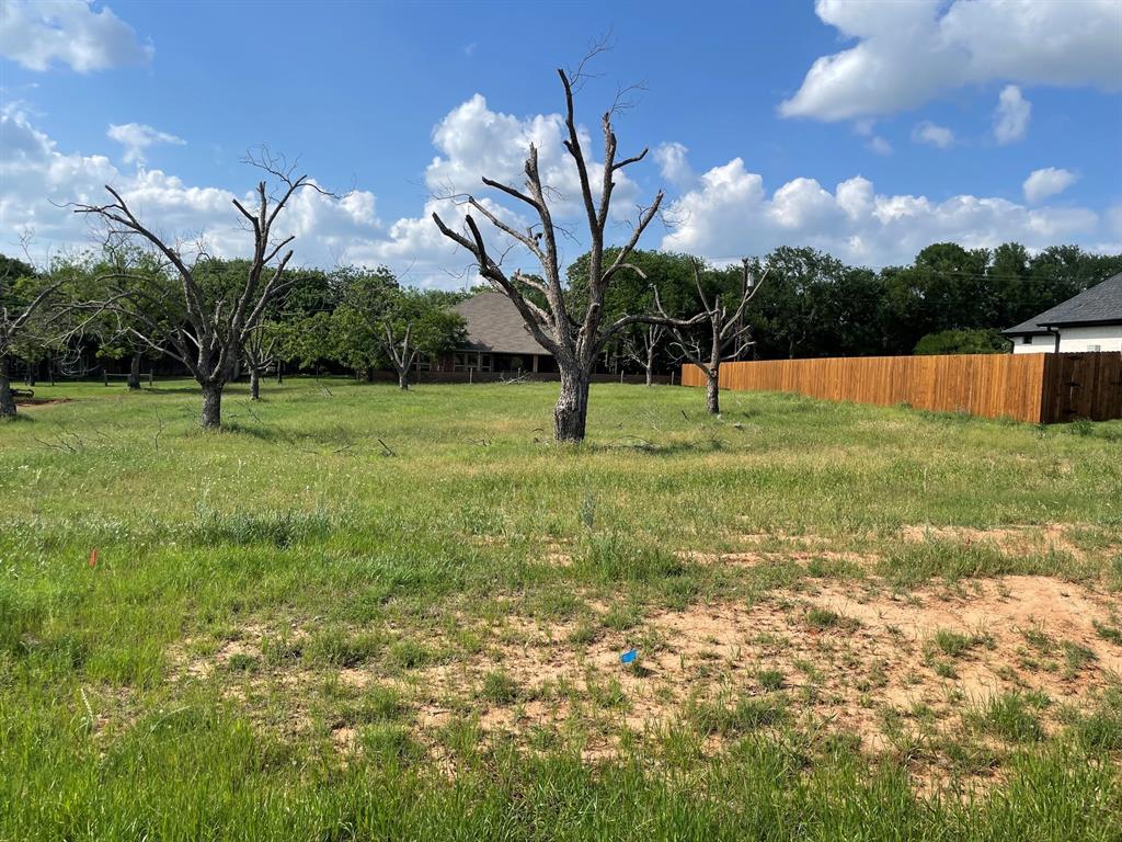 Pecan Plantation's Orchard 15B - Land