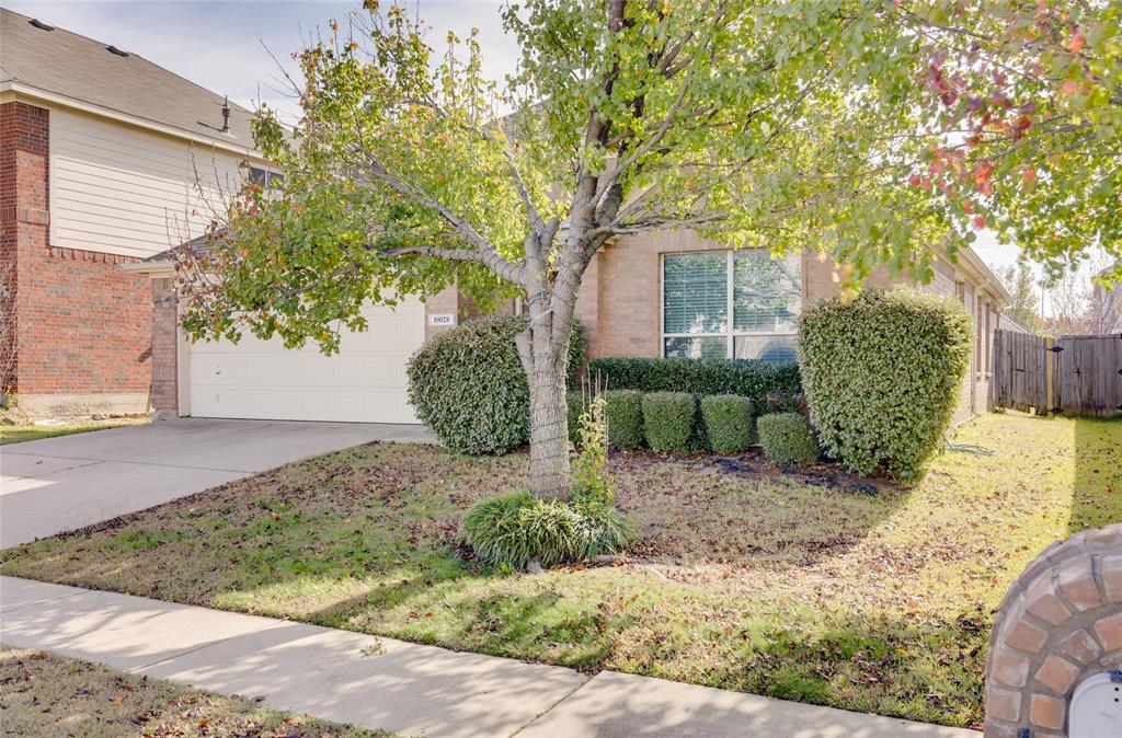 Wilshire Valley - Residential
