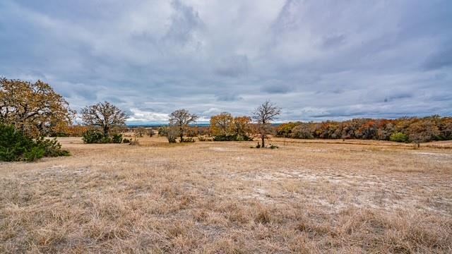ACRES: 133 ABST: J C GRACE - ABST 190 - Land