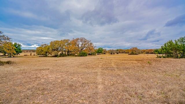 ACRES: 133 ABST: J C GRACE - ABST 190 - Land