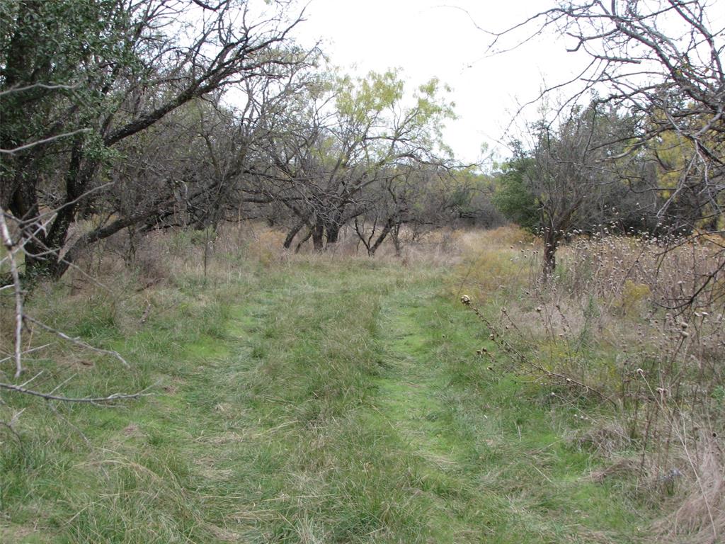 T & P - Farm