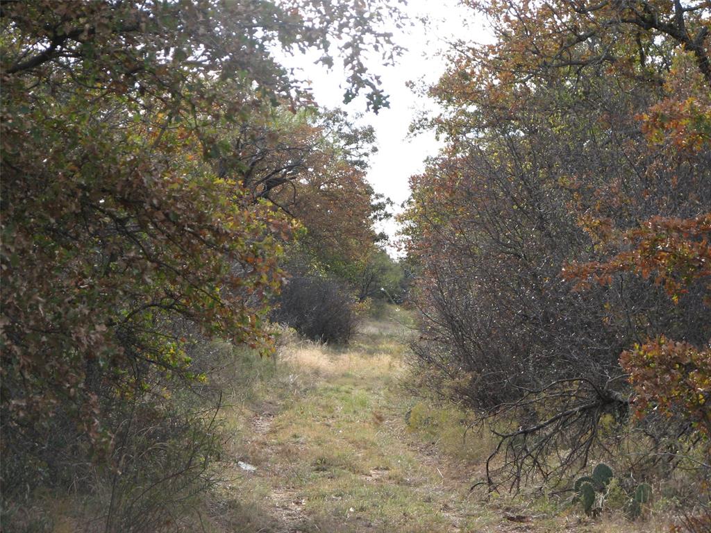 T & P - Farm