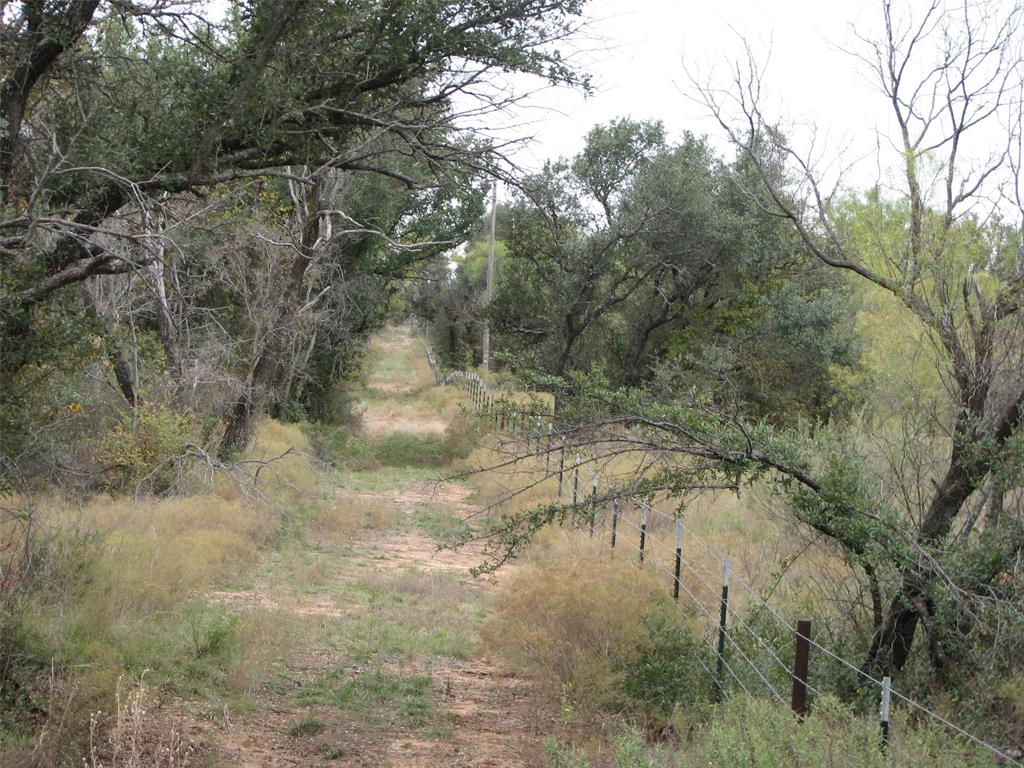 T & P - Farm