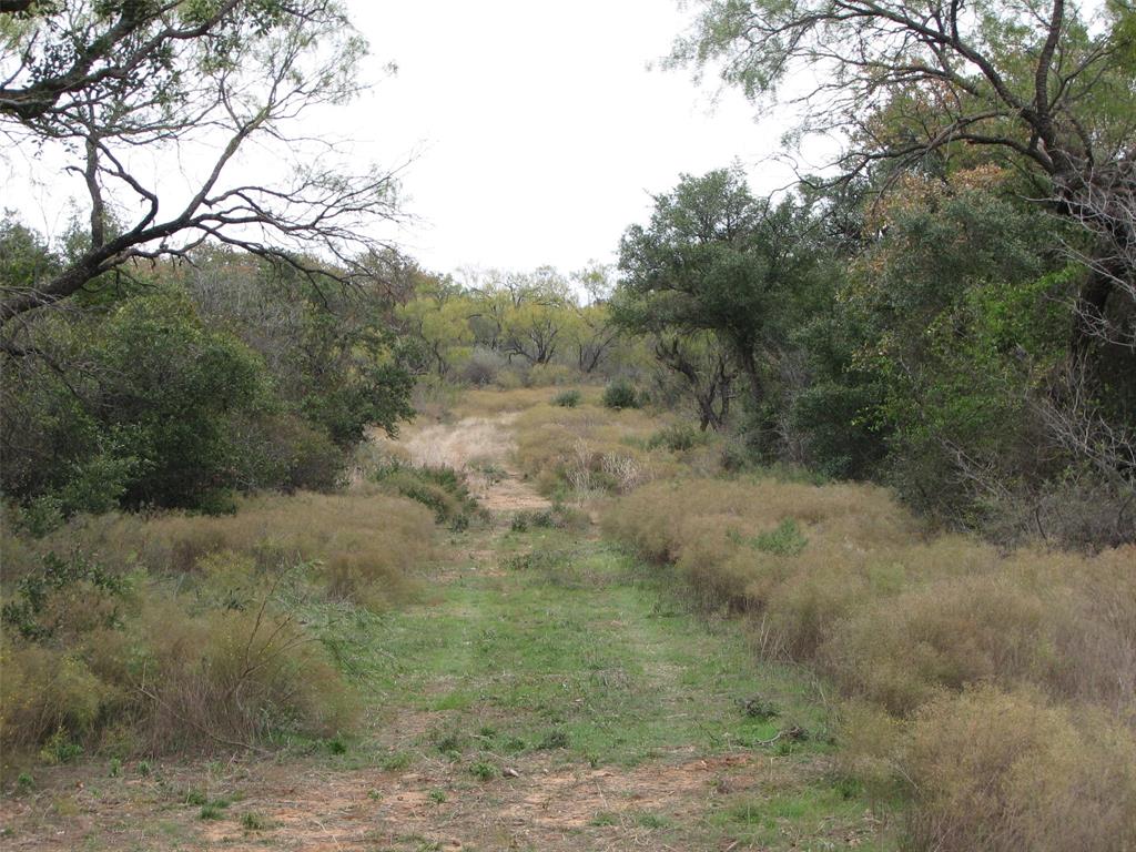 T & P - Farm