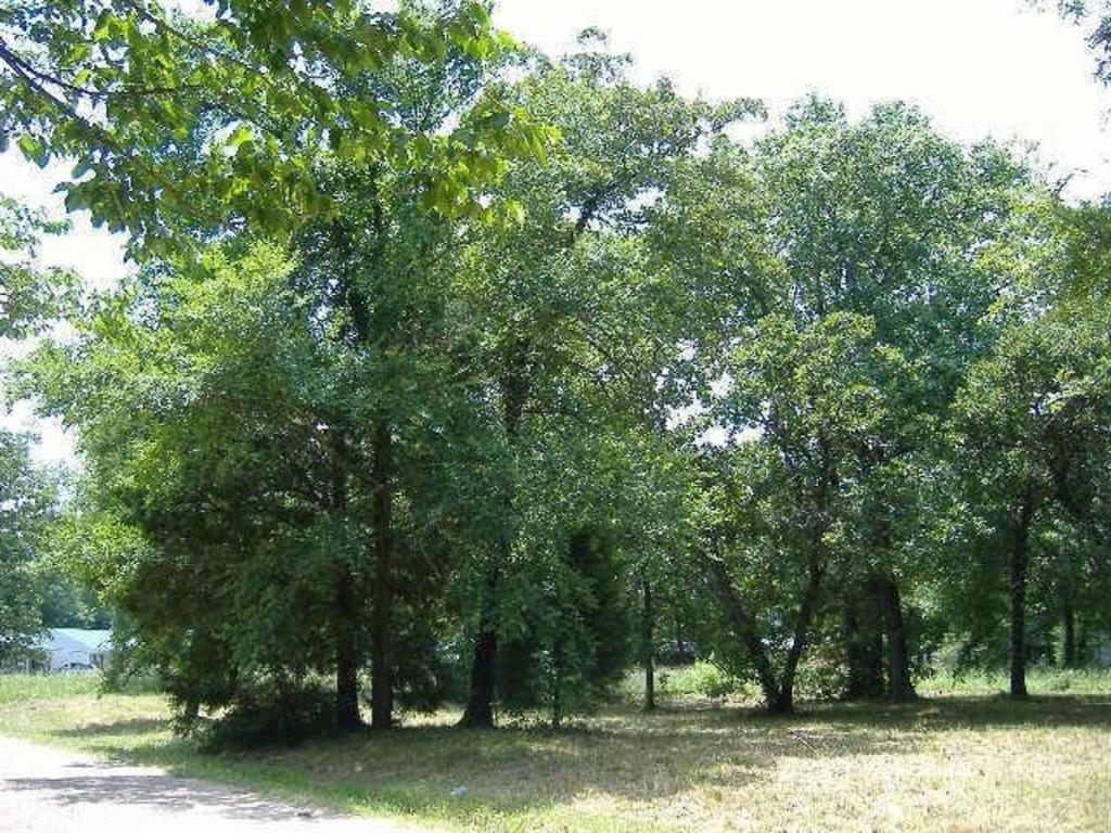 nice lot with scattered trees. restricted to site built homes no mobiles allowed. walking distance to the lake.