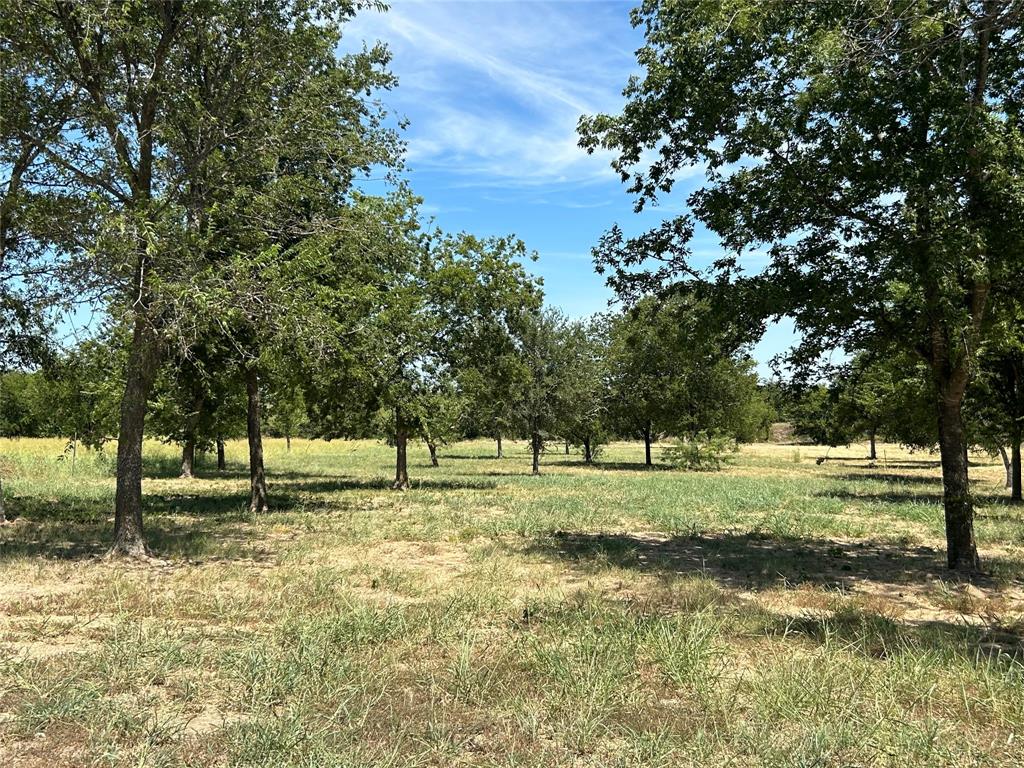 Bear Creek Ranch - Land
