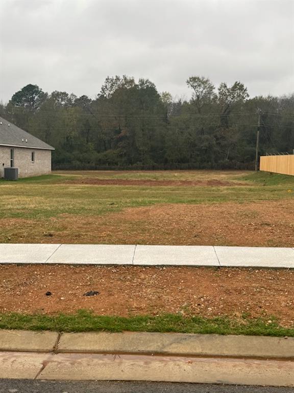 Trinity Bluff Subdivision 2 A - Land