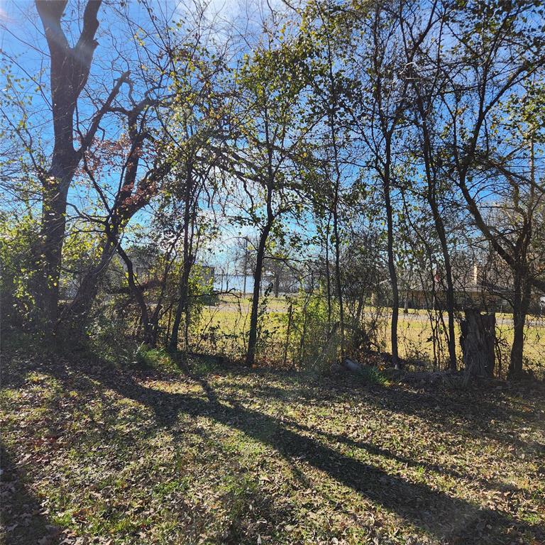 Whispering Oaks - Land