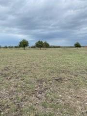 1109 C WHITE 11 Acres - Land