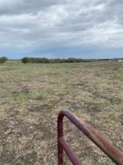 1109 C WHITE 11 Acres - Land