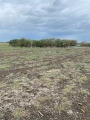 1109 C WHITE 11 Acres - Land