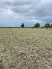 1109 C WHITE 11 Acres - Land