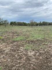 1109 C WHITE 11 Acres - Land