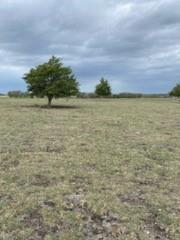 1109 C WHITE 11 Acres - Land