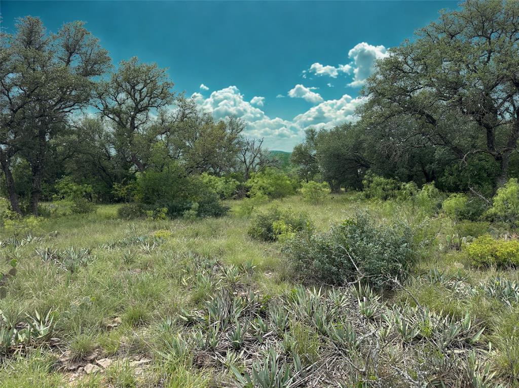 Kings Point Cove Unit 1 - Land
