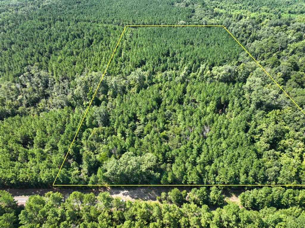 First time open market offering of 20 ± acres along Sam Booker Road in De Soto Parish. This tract combines accessibility, natural beauty, and investment potential, with the added feature of a wet-weather creek running through the property.
 - 20 acres with parish-maintained road frontage on Sam Booker Rd
 - Wet-weather creek provides character, wildlife habitat, and recreational appeal
 - Timbered property with a mix of pine and hardwood for both investment and natural beauty
 - Electric service available through CLECO Power
 - First time open market offering after long-term ownership
 - Excellent opportunity for residential homesites, hunting, or recreational retreat
This tract offers the peace and privacy of the country with the flexibility to develop, invest, or simply enjoy as a personal retreat.