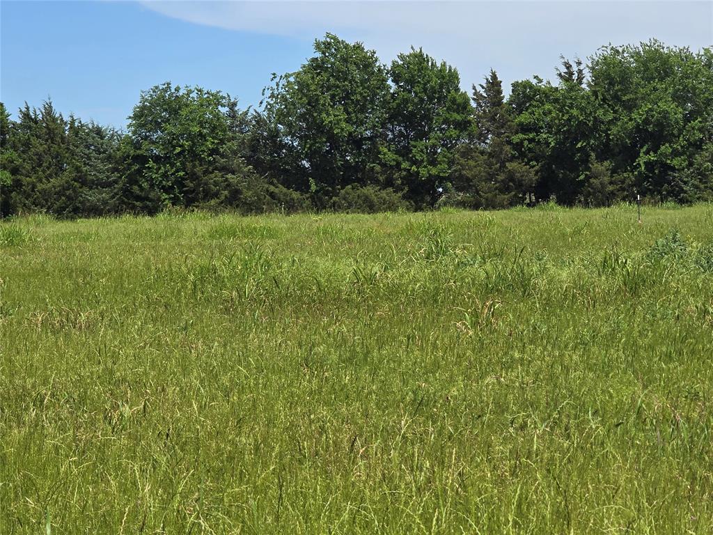 Here's a little slice of country life that is minutes from Melissa, Tx or Blue Ridge Tx. Discover the perfect blend of peaceful country living and city convenience with this beautiful 5-acre property! Nestled in a great location, this land offers the ideal setting to build your dream home — or multiple homes bring the critters and enjoy them on the farmland? Enjoy the privacy and open space of the countryside while still being just a short drive from major cities, shopping, dining, and everyday amenities. With no known restrictions, the possibilities are endless for residential, investment, or recreational use. Whether you're looking to create a private retreat, family homestead, or future development opportunity, this property is ready for your vision. Located in a high demand area, development just a few miles away. Buy the dirt while you can!!! Survey in documents.