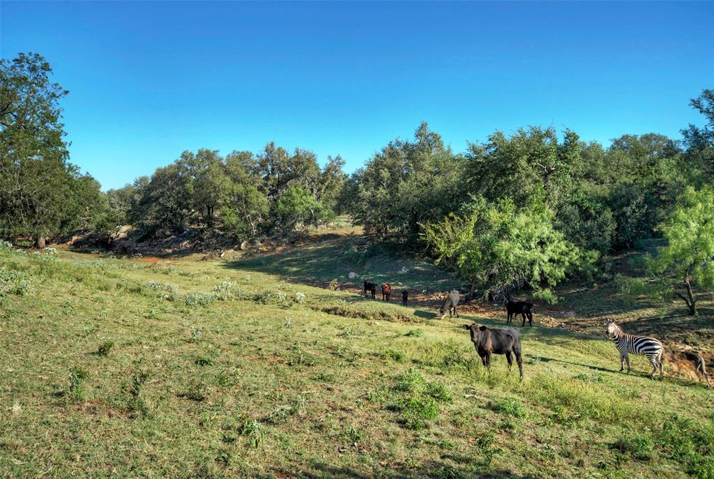 NA - Farm