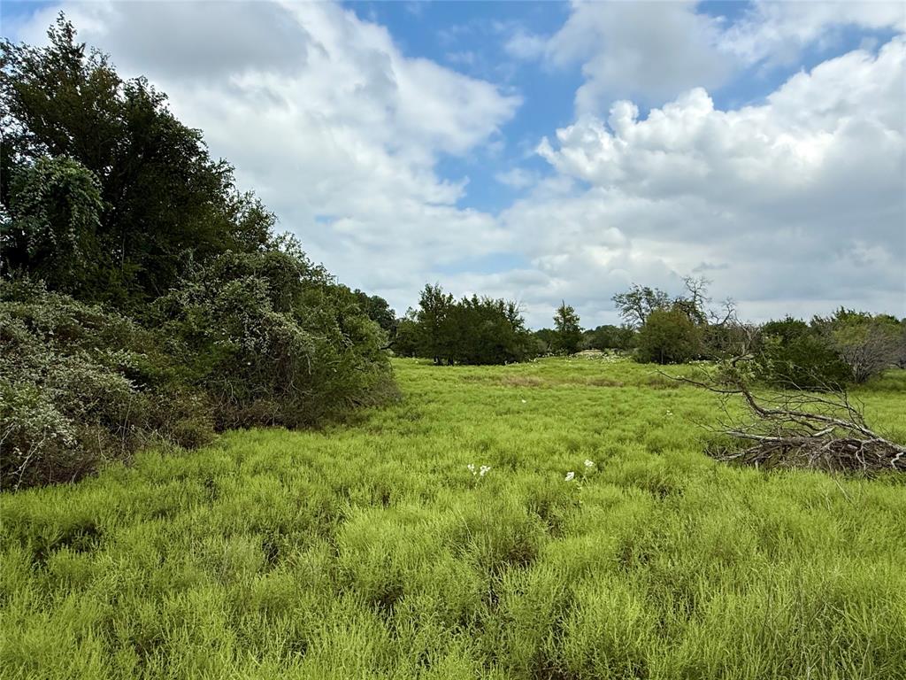 Honey Creek Ranch - Land