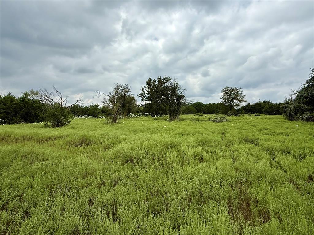 Honey Creek Ranch - Land