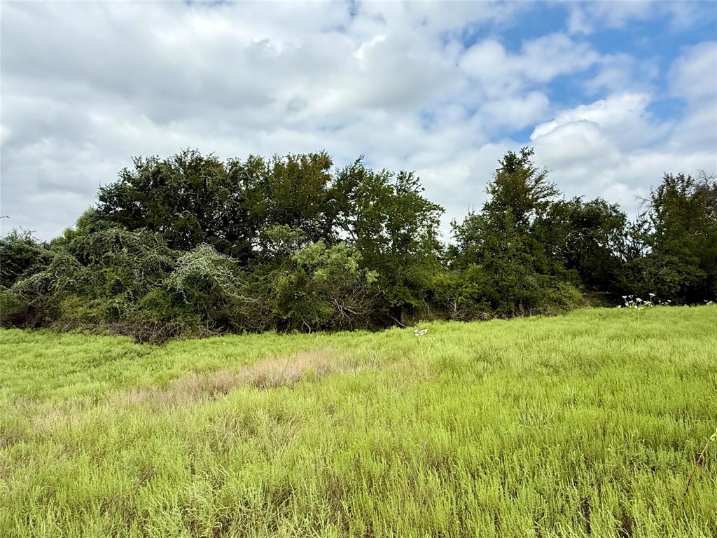 Honey Creek Ranch - Land