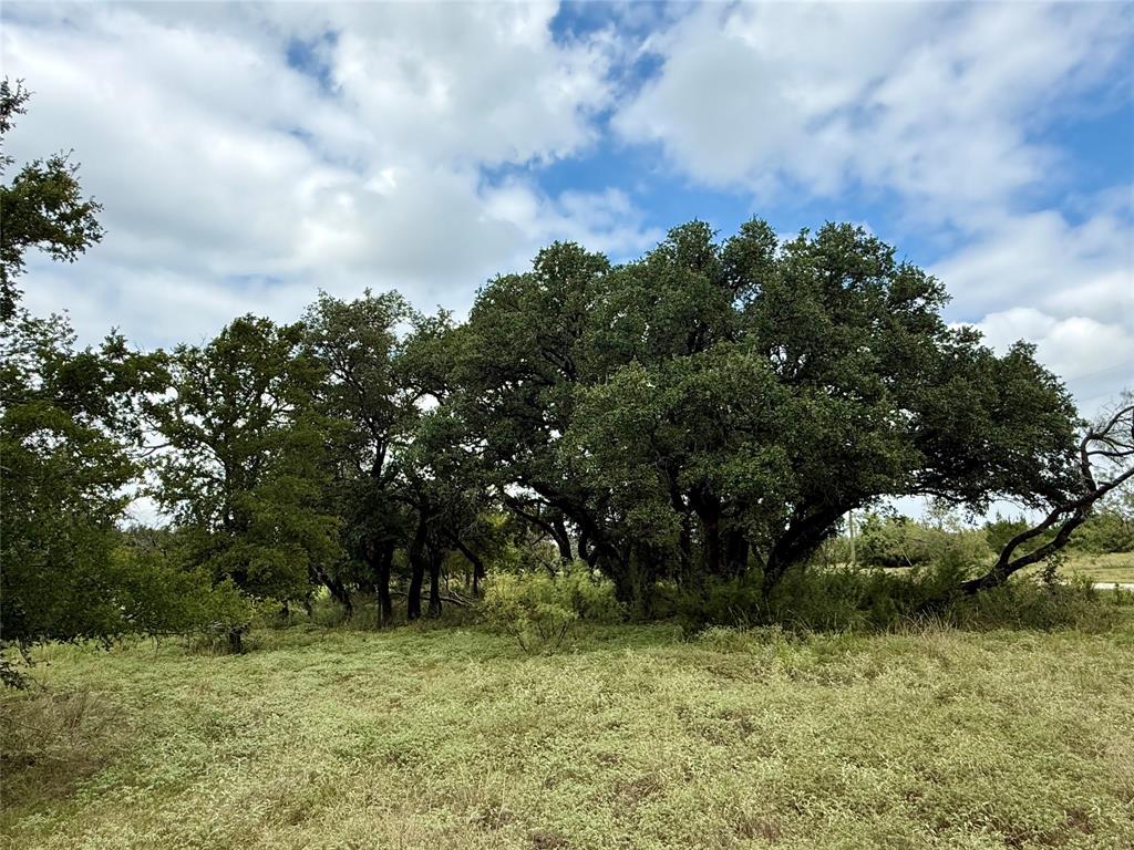Honey Creek Ranch - Land