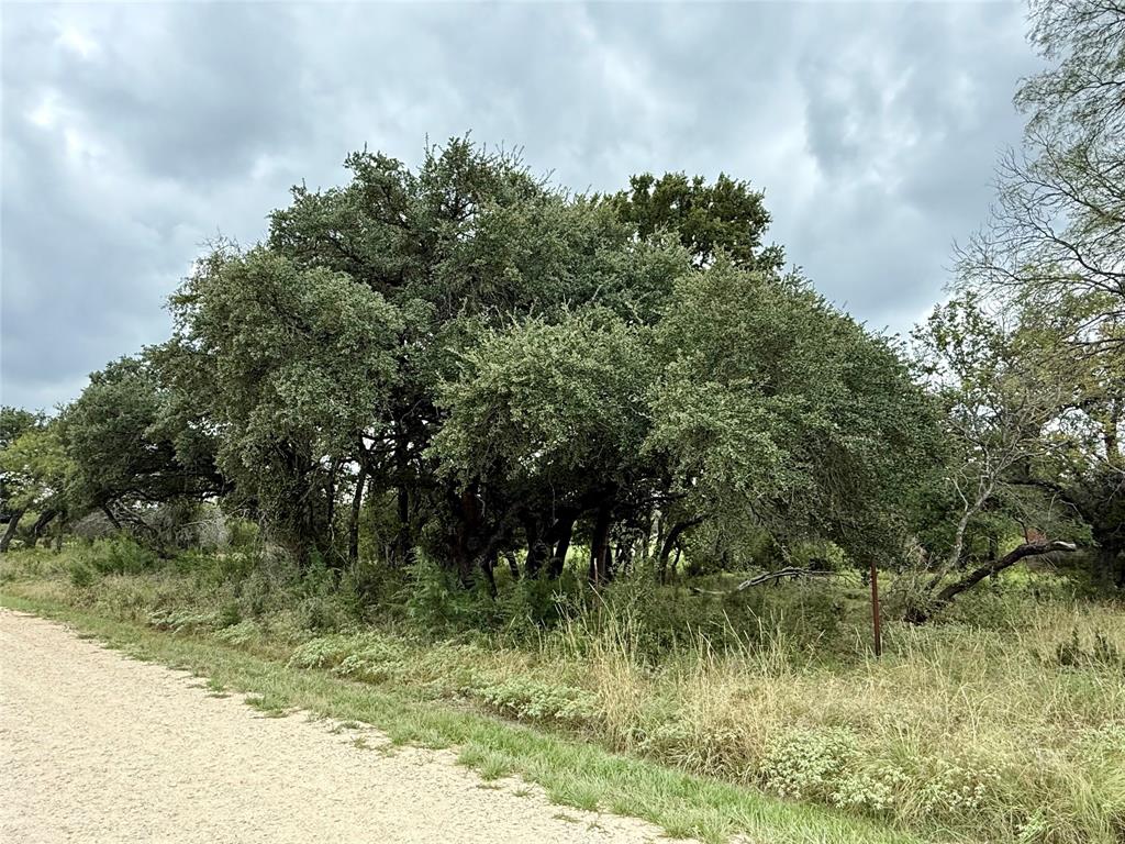 Honey Creek Ranch - Land