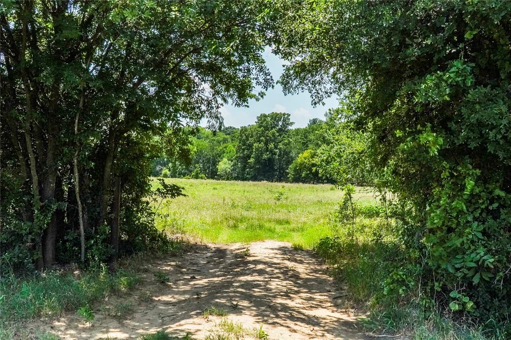 Jacksboro - Land