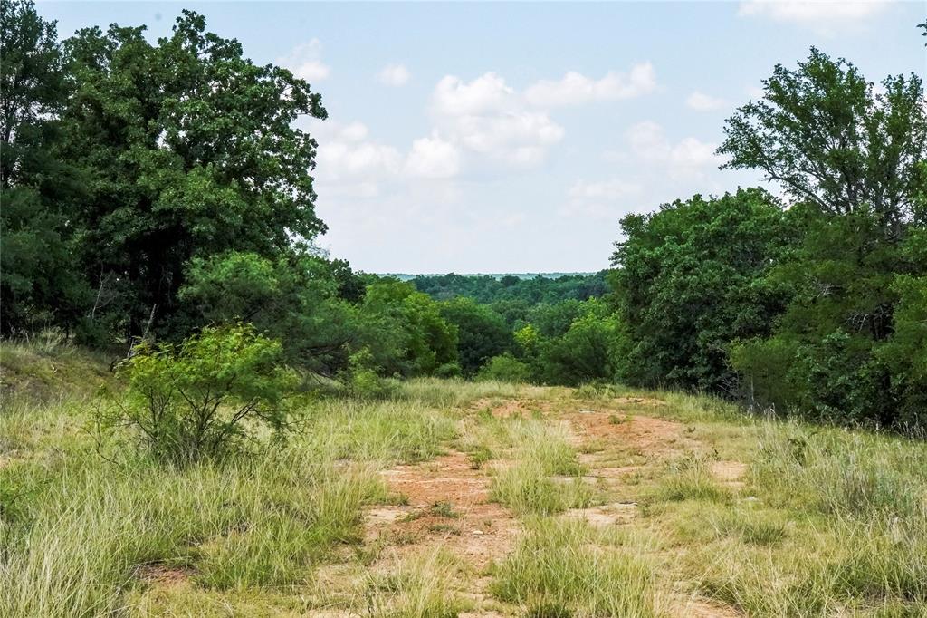Jacksboro - Land