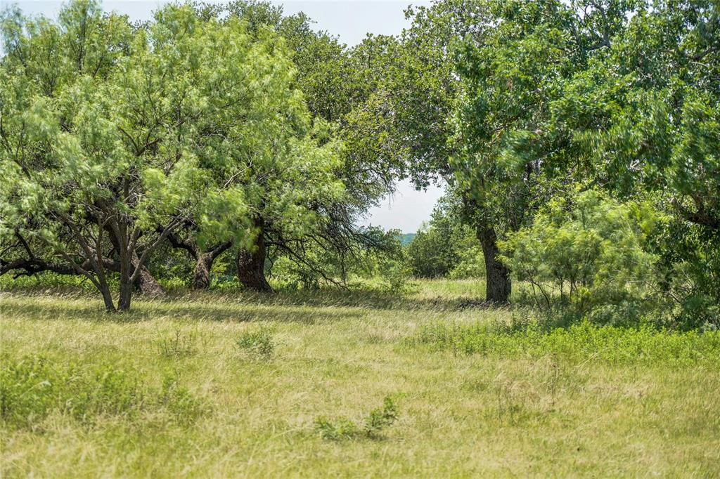Jacksboro - Land