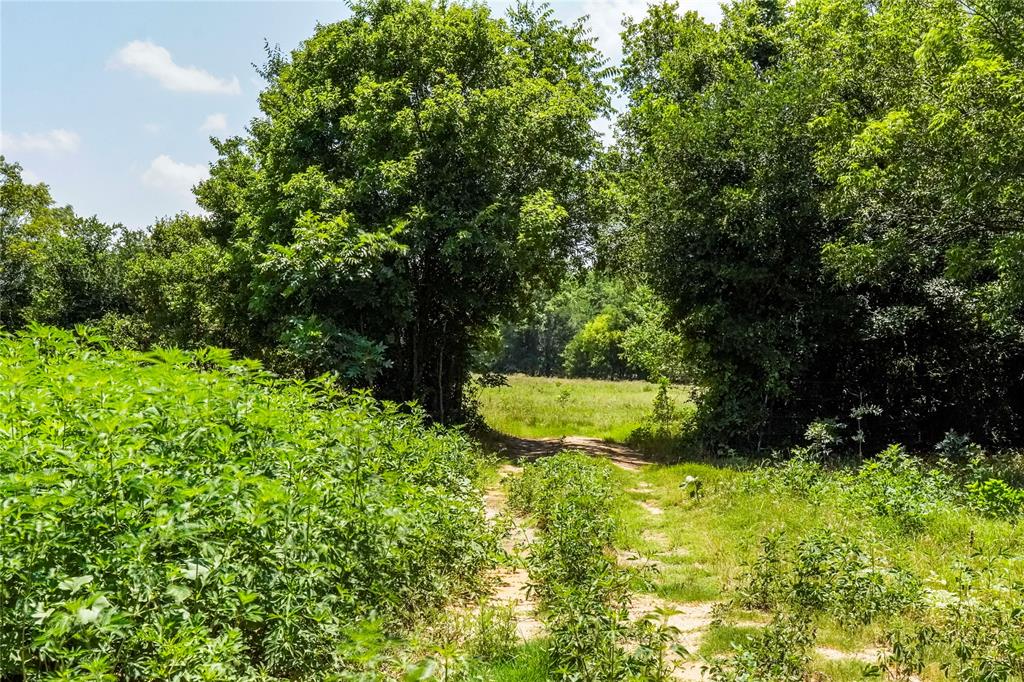 Jacksboro - Land