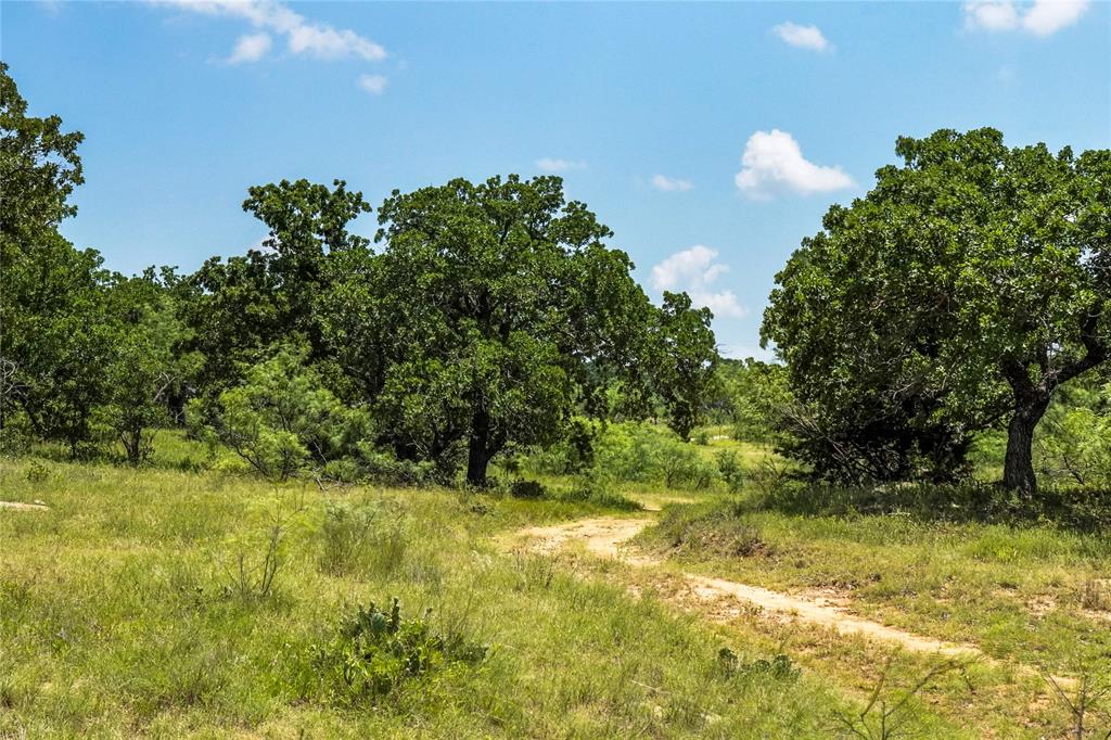 Jacksboro - Land